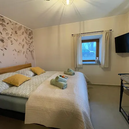 Pod Stepankou Appartement Kořenov