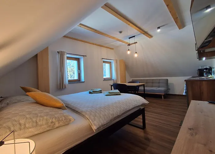 Apartment Pod Stepankou *